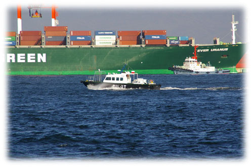 image11